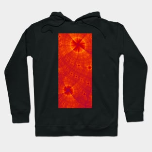 Amber Waves 19 Hoodie